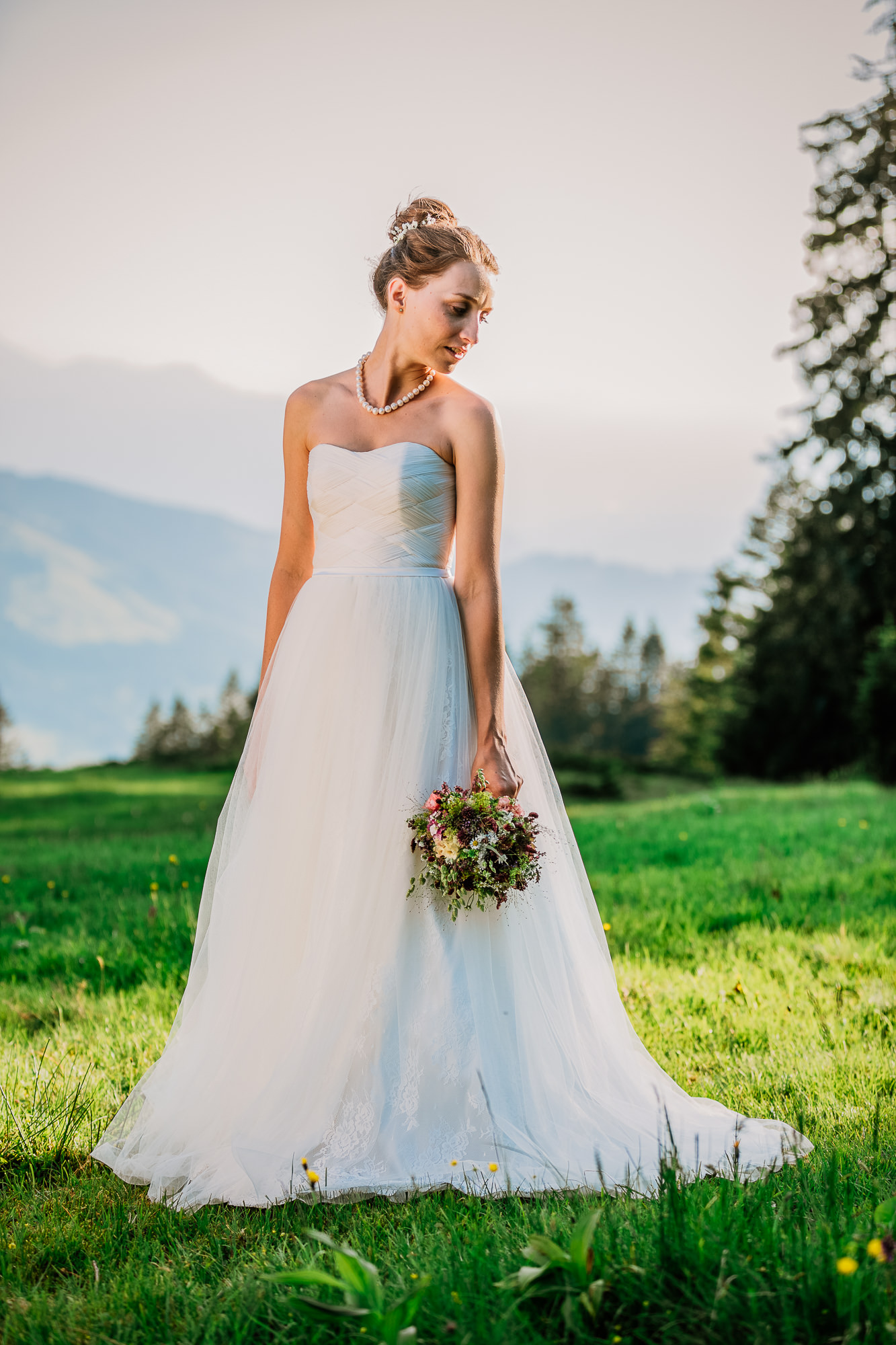 Export x3 070 JC 810 Beispiele Eva 2016